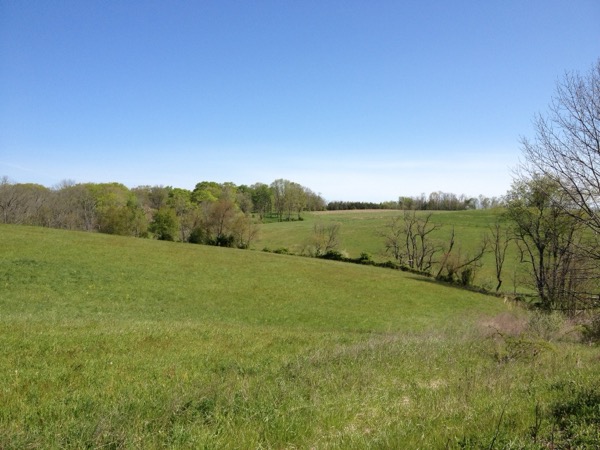 20120425-214335.jpg