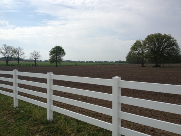 20120425-220246.jpg