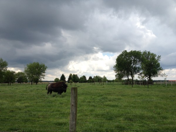 20120509-202846.jpg