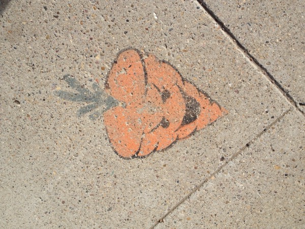20120610-153004.jpg