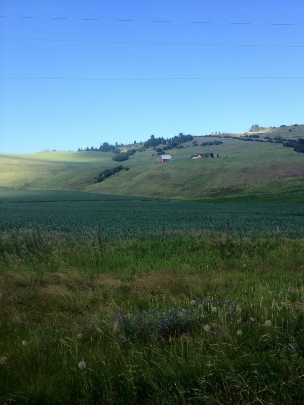 20120624-213224.jpg